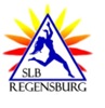 logo regensburg